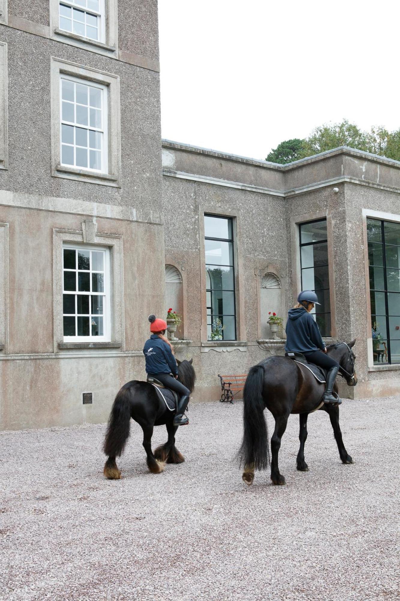 Vila Dripsey Castle Estate Cork Exteriér fotografie