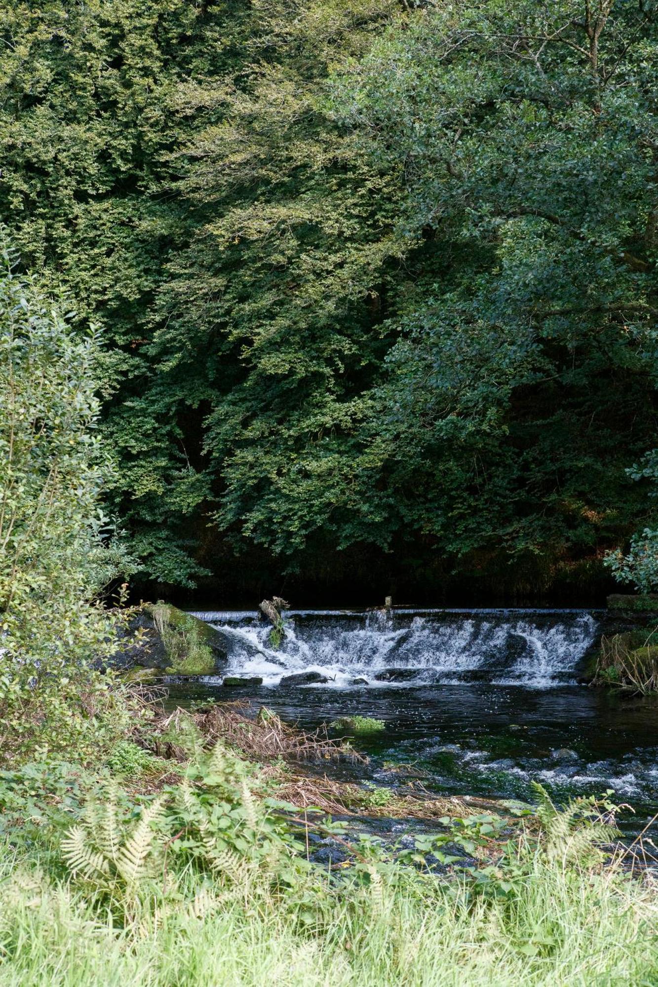 Vila Dripsey Castle Estate Cork Exteriér fotografie